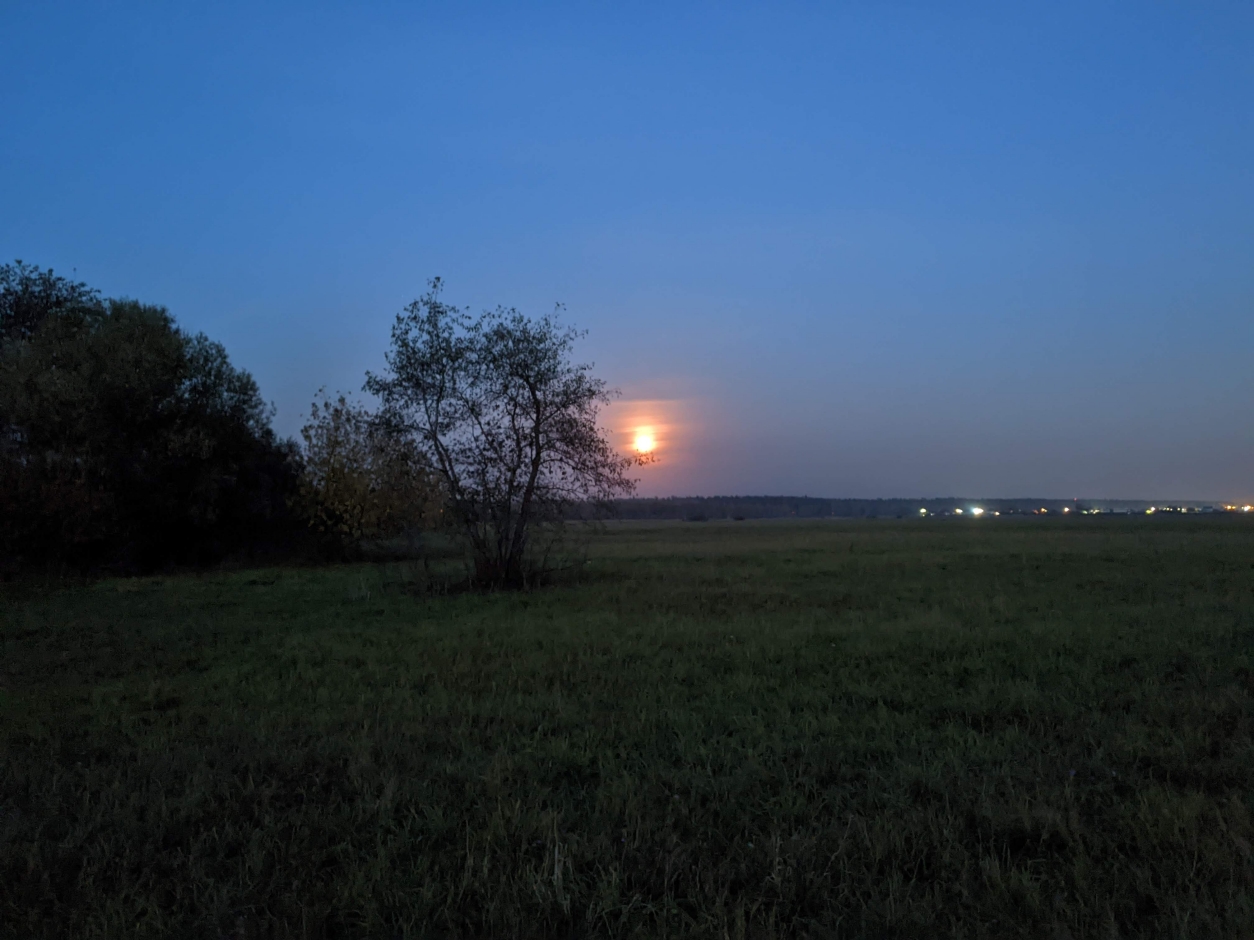Знаки судьбы - PXL_20230930_155715872.jpg