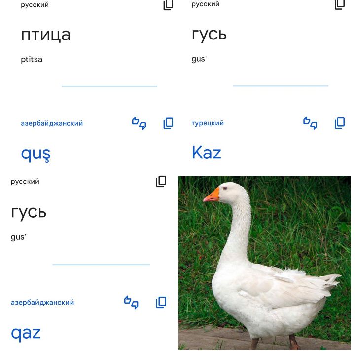 Блог mudder - Screenshot_20231026-185940.jpg