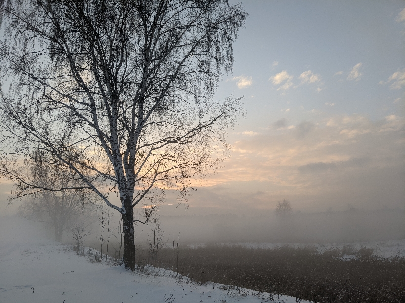Знаки судьбы - PXL_20231202_122259257.jpg