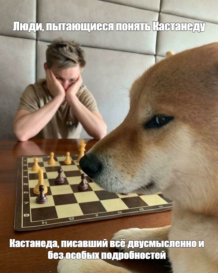 Дума о внутреннем диалоге Maelinhon  - 3544b1580229984829ad502450cd6477.jpg
