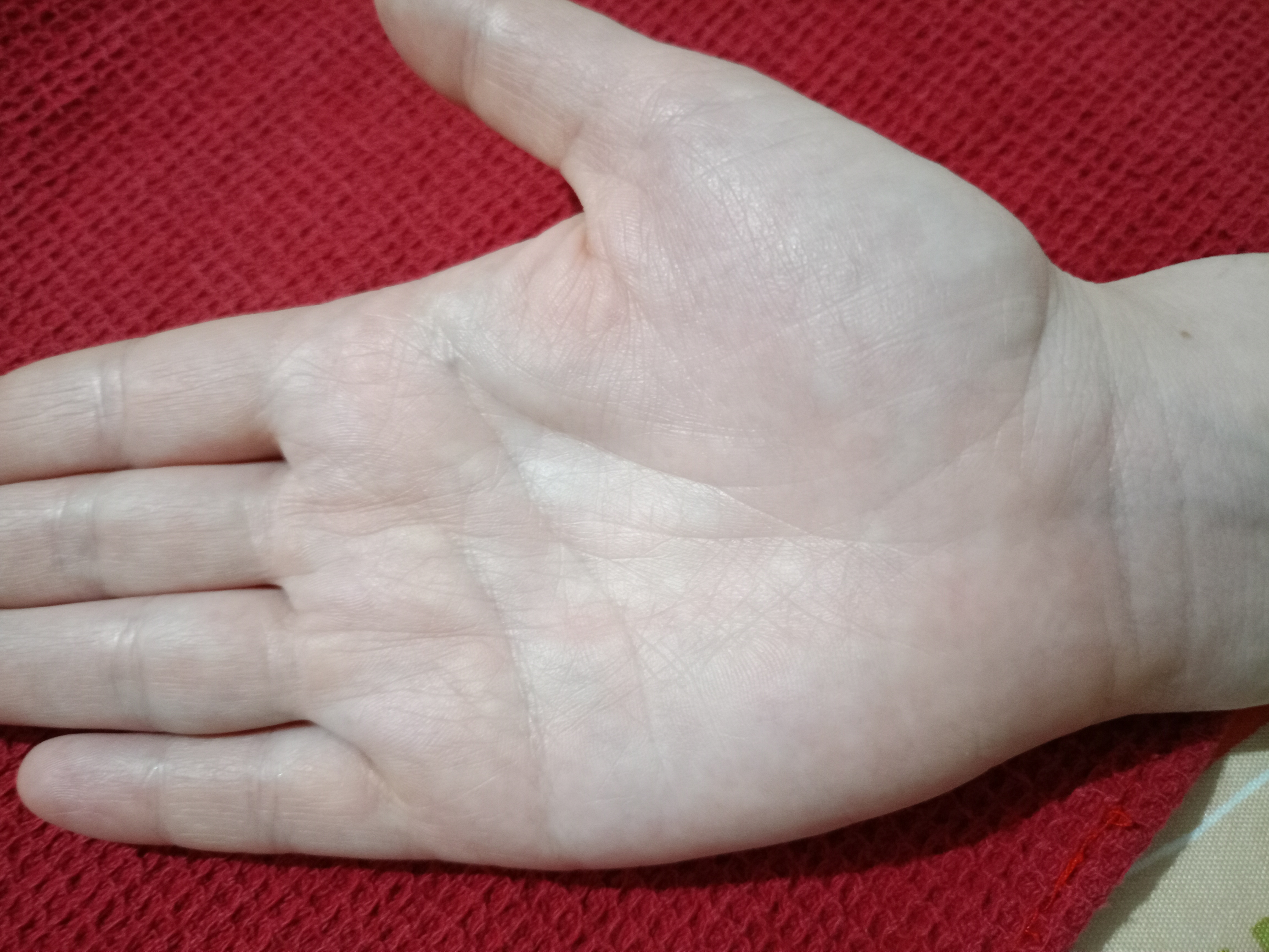 Линия Судьбы - IMG20240127003350.jpg