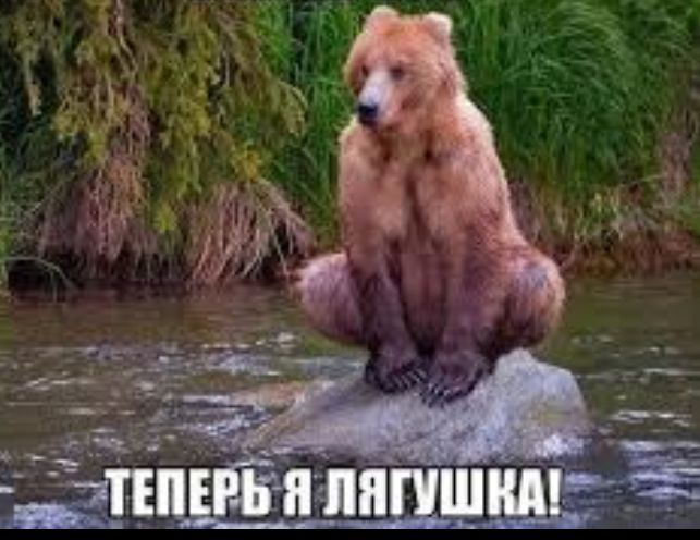 Блог mudder - Screenshot_20240226-080919~2.jpg