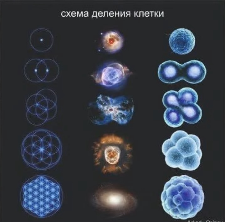 Тотемы. - IMG_2298.jpeg
