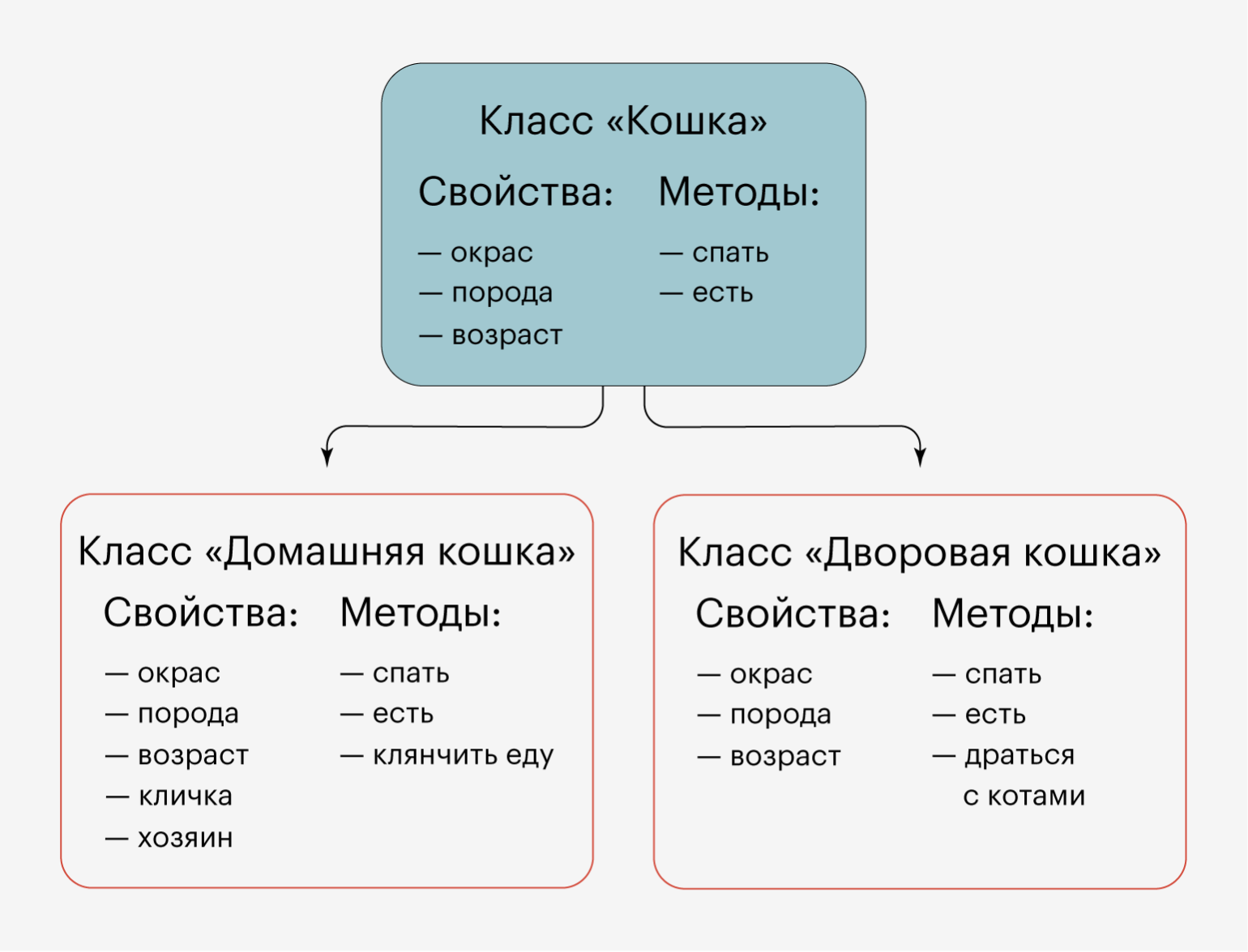 Блог mudder - 10060020022023_cae856732bd4226855875d839121e46dd85999a9.png