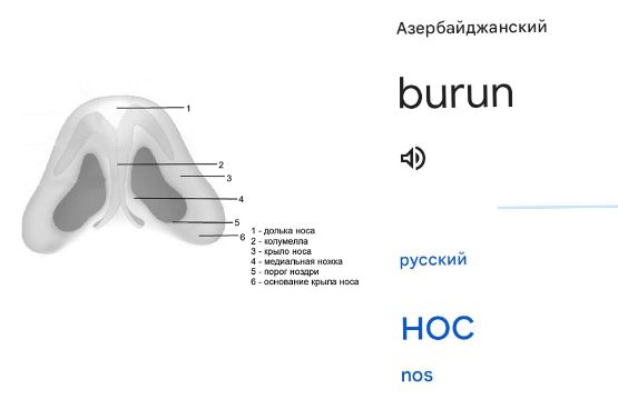 Блог mudder - Screenshot_20240523-123929.jpg