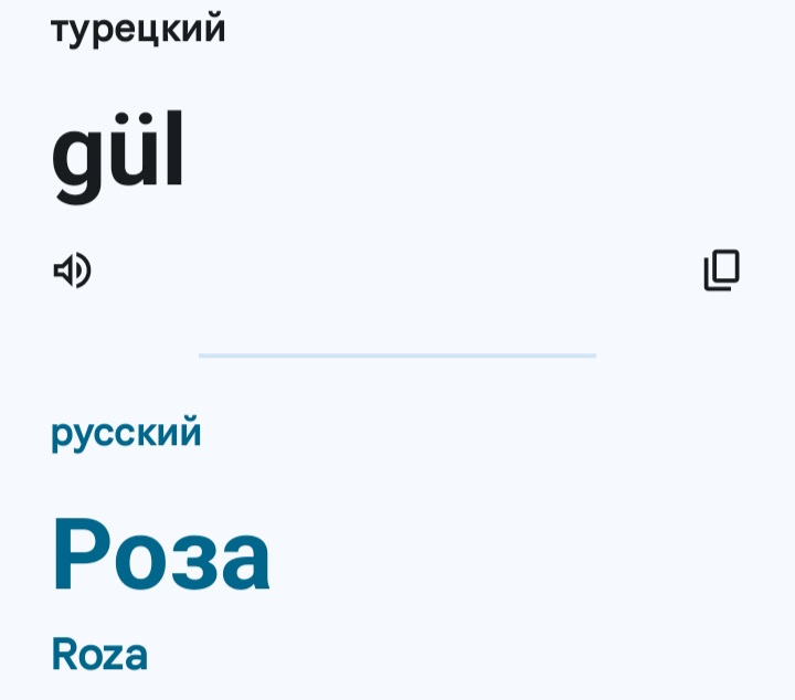 Блог mudder - Screenshot_20240603_125429_Translate.jpg