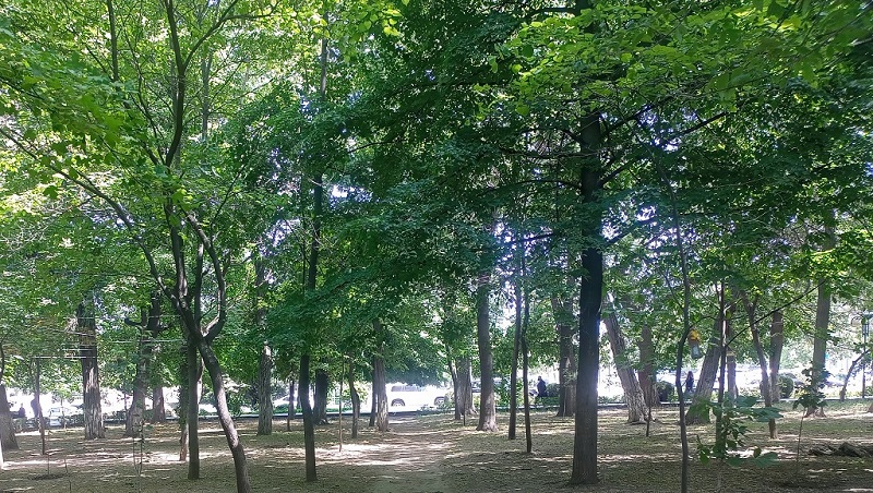 Заметки на пути от Mikle - park02.jpg