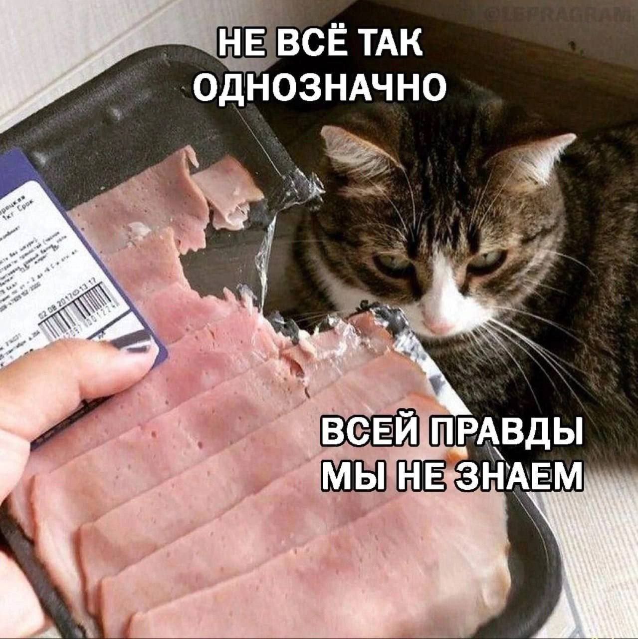 О зыбкой туманности - photo_2024-06-06_15-50-37.jpg