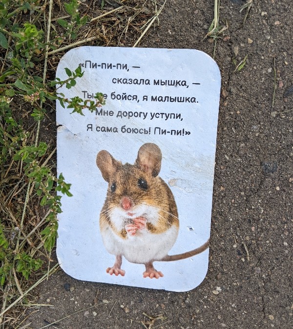 Знаки судьбы - мыш.jpg