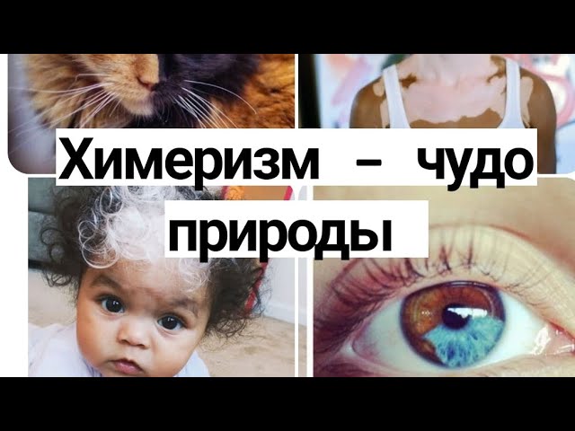 Тотемы. - IMG_4436.jpeg