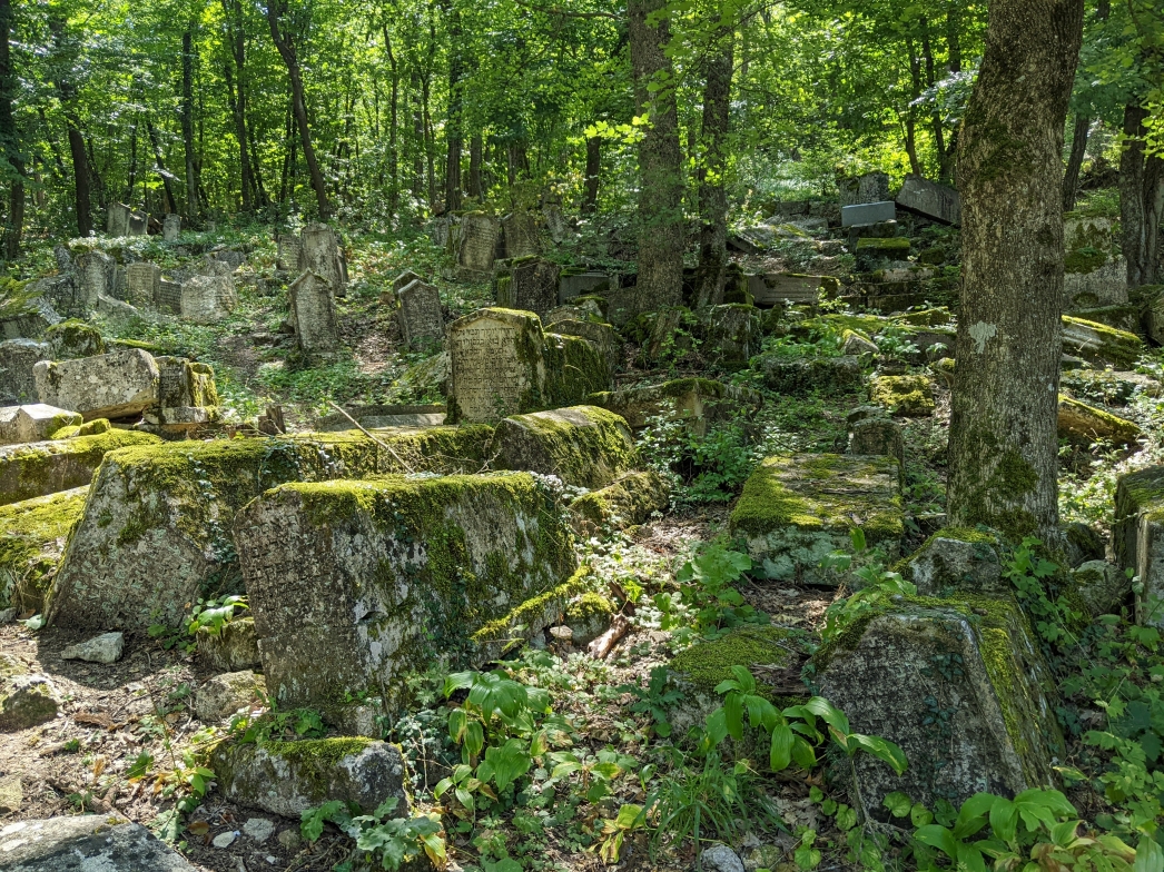 Энергетика могил - PXL_20220816_110516886.MP.jpg