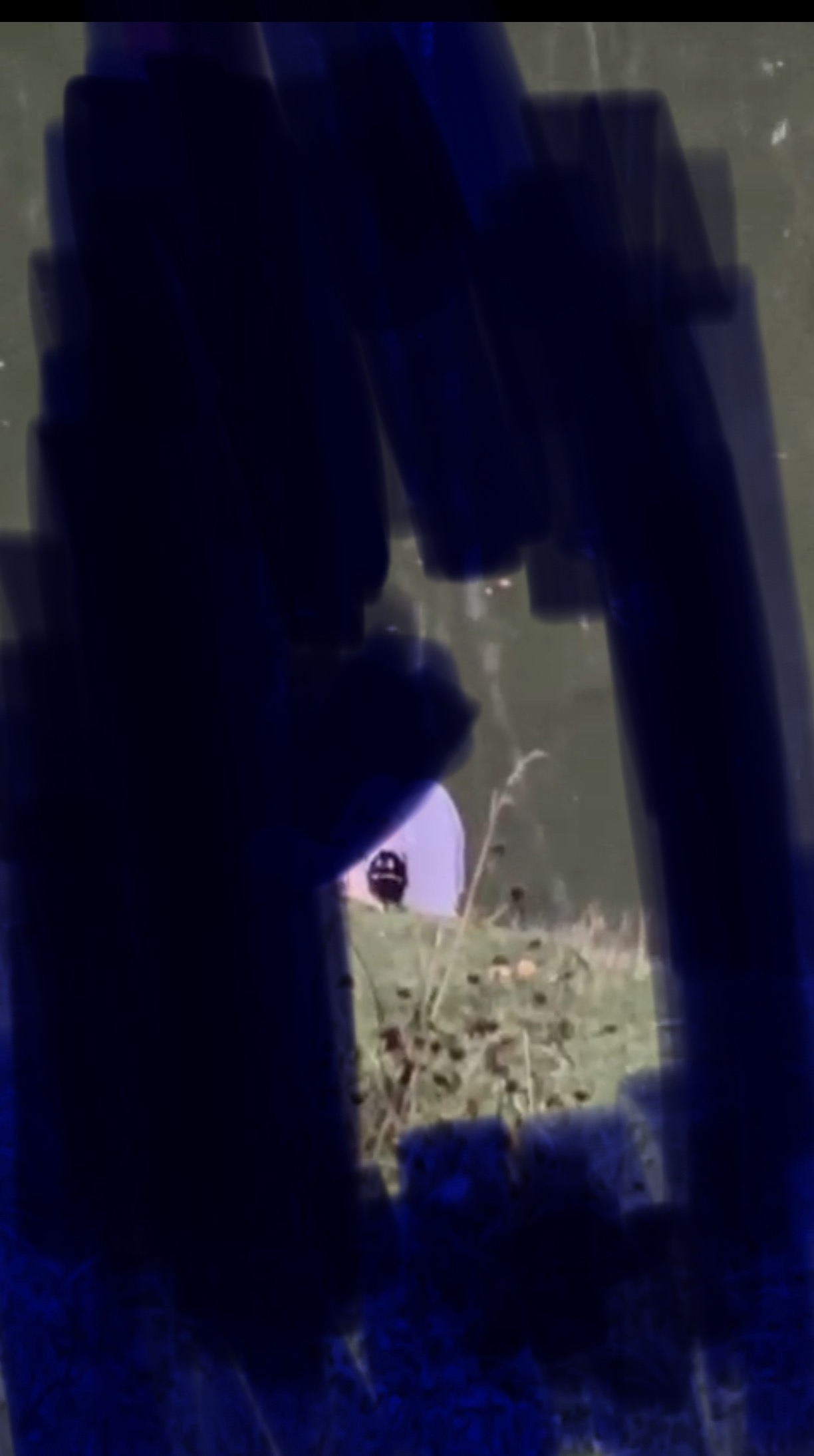 Что это такое? - IMG_6735.jpeg