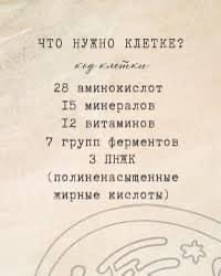Тотемы. - IMG_5422.jpeg