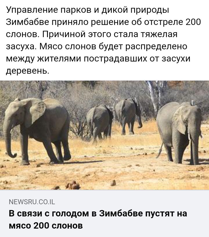 Блог mudder - Screenshot_20240919-230408.jpg