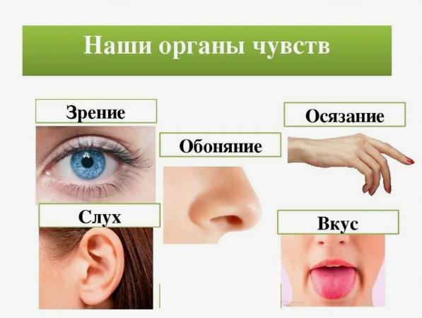 Эмпаты, как спасаетесь от чужих эмоций? - 2024-10-13_20-22-44.jpg