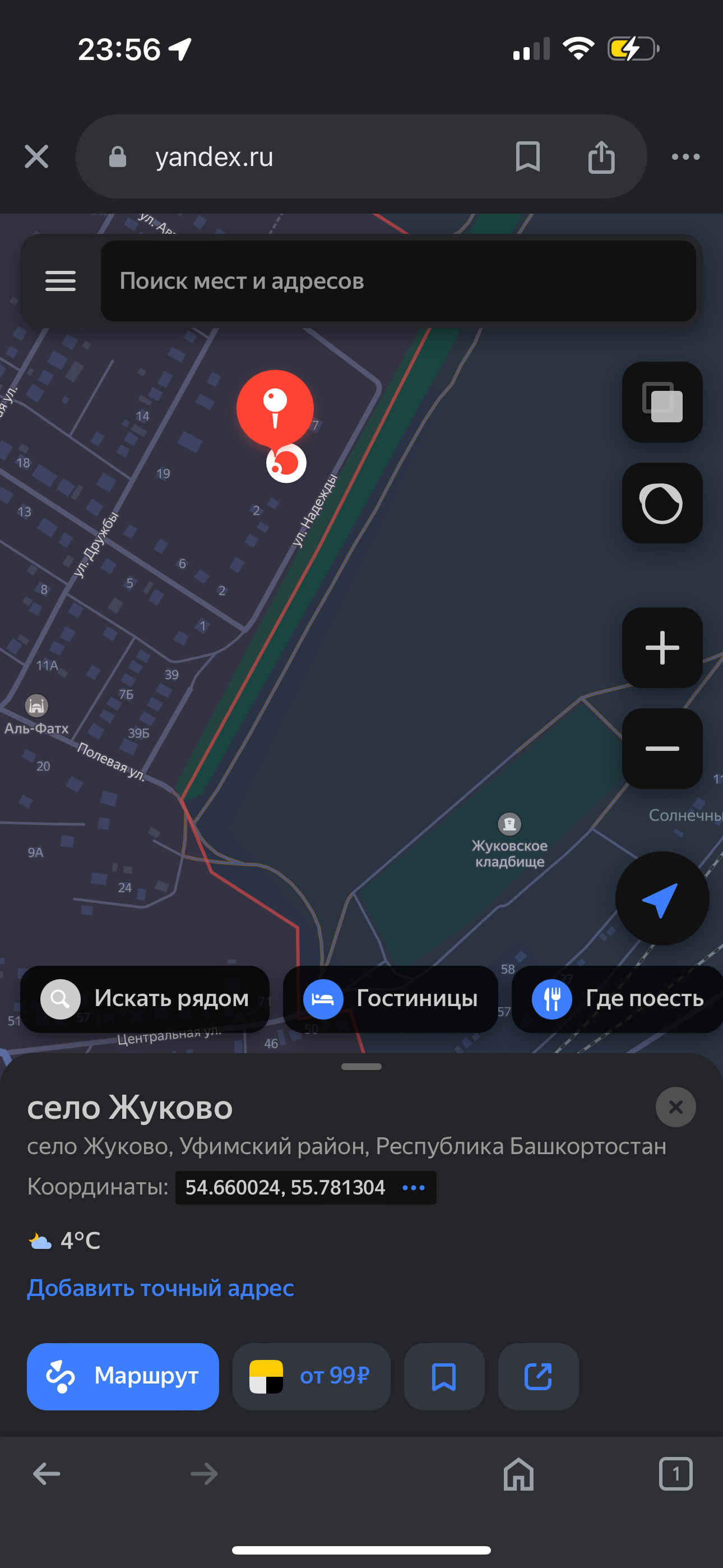 Помогите найти кошечку  - IMG_4449.png