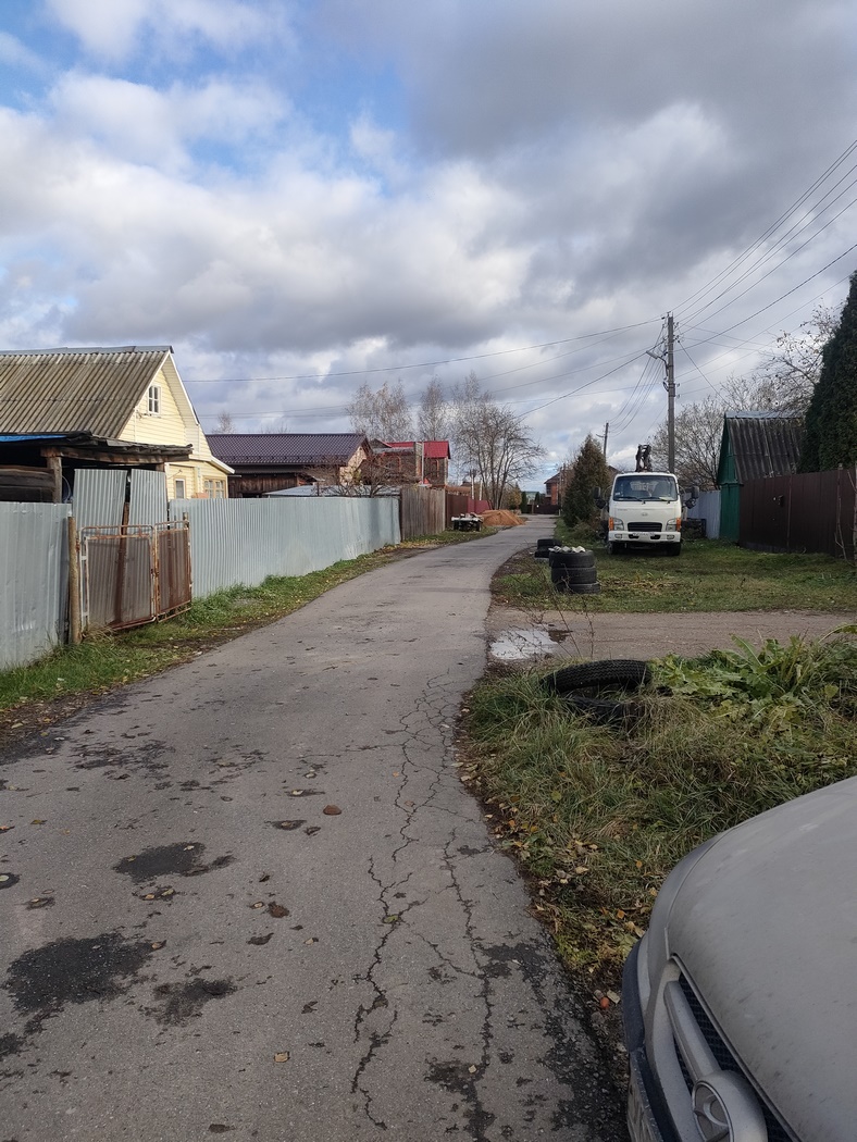 Прошу помощи Убежала собачка  - IMG20241031132635 (Копировать).jpg