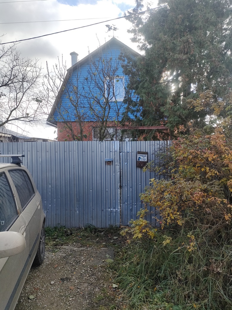 Прошу помощи Убежала собачка  - IMG20241031132637 (Копировать).jpg