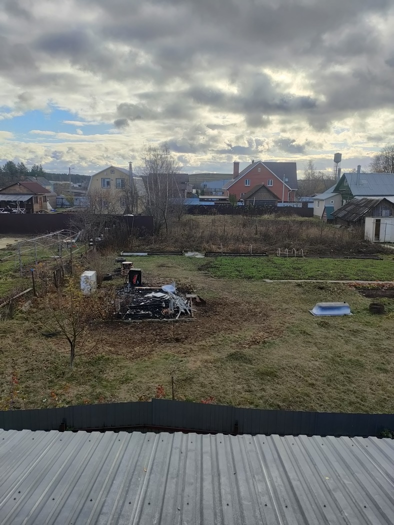 Прошу помощи Убежала собачка  - IMG20241031133230 (Копировать).jpg