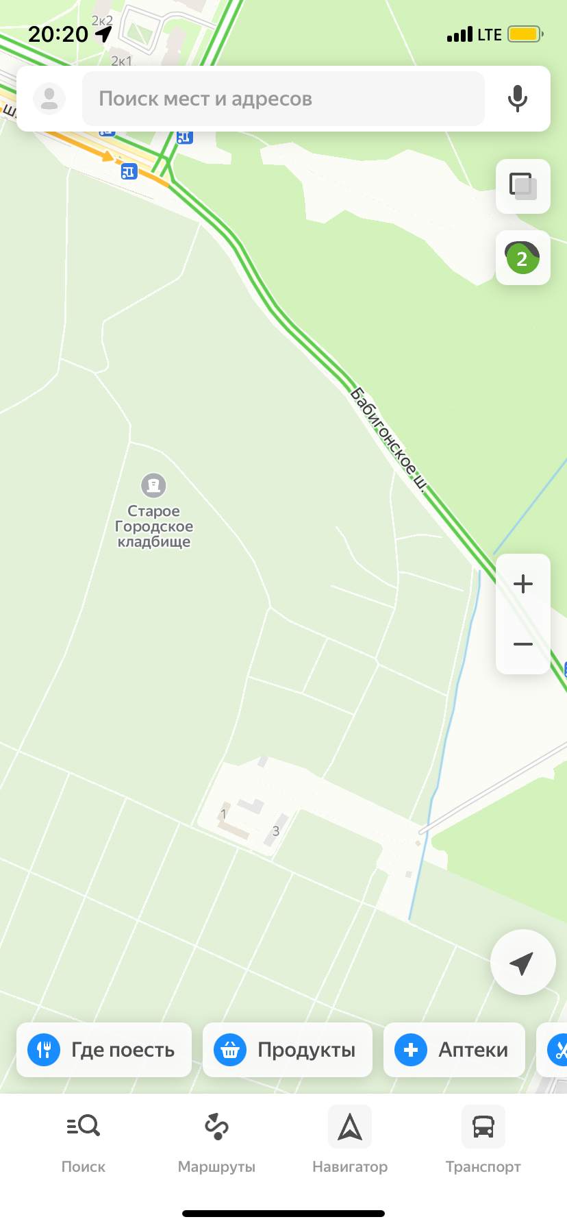 Потерялась кошка. Смирились, что не найдем  - IMG_8850.png