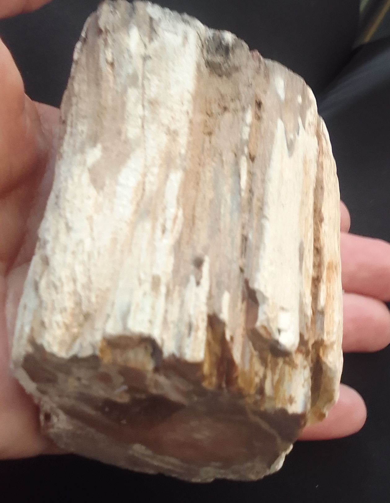 Блог mudder - IMG_20250708_174137~2.jpg