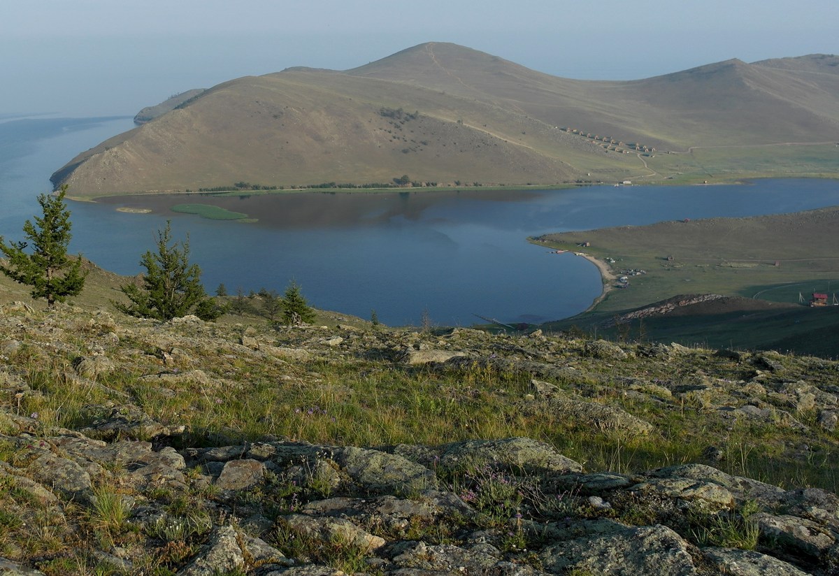 Помогите найти Бенгальскую кошку - 102844.jpg