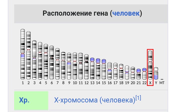 Блог mudder - Screenshot_20250731-235832.jpg