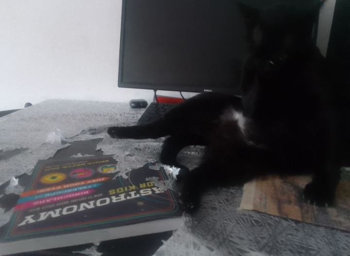 Блог mudder - Screenshot_20250807-071100~2.jpg