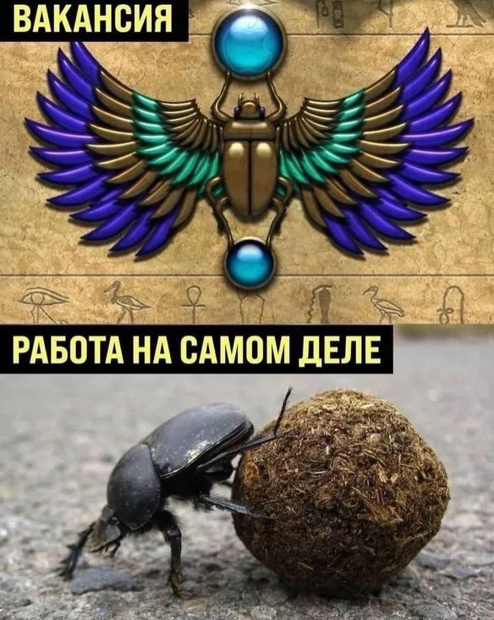 Блог mudder - Screenshot_20250818-084549.jpg