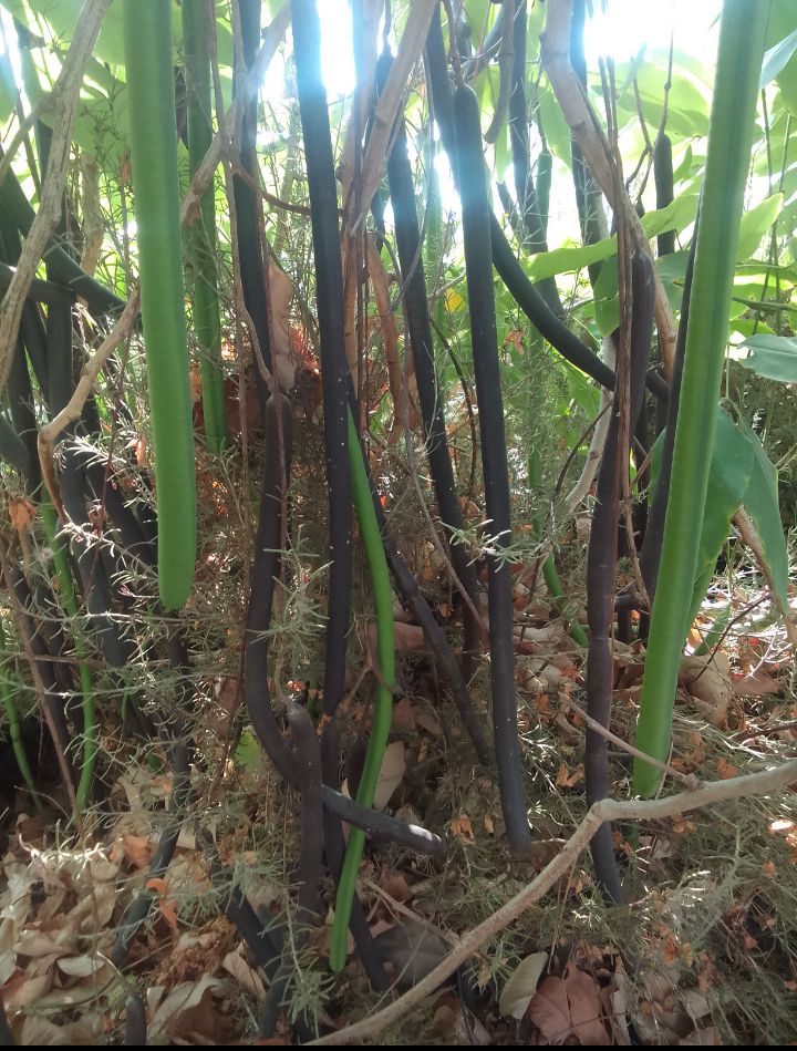 Блог mudder - Screenshot_20251102-150314.jpg