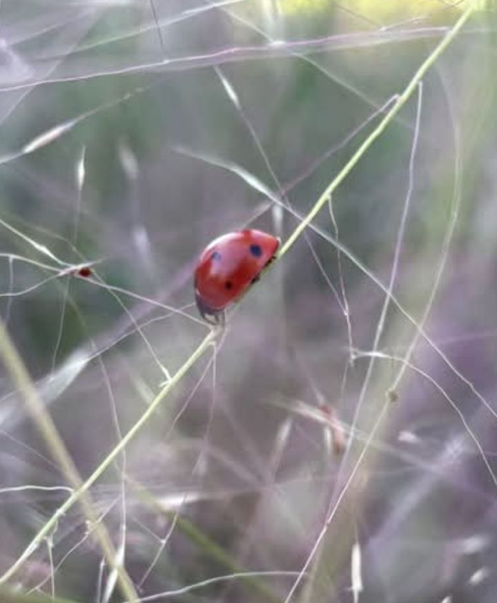 Блог mudder - Screenshot_20251011-004335.jpg