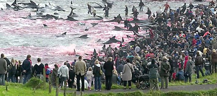 Блог mudder - Screenshot_20251215-164439.jpg