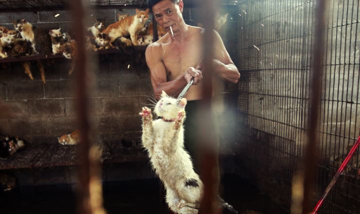 Блог mudder - Screenshot_20251215-164336.jpg