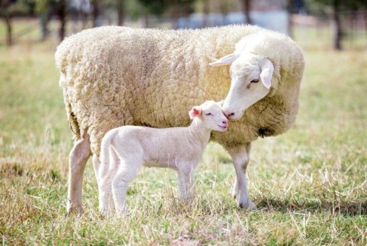 Блог mudder - Screenshot_20251225-065410.jpg