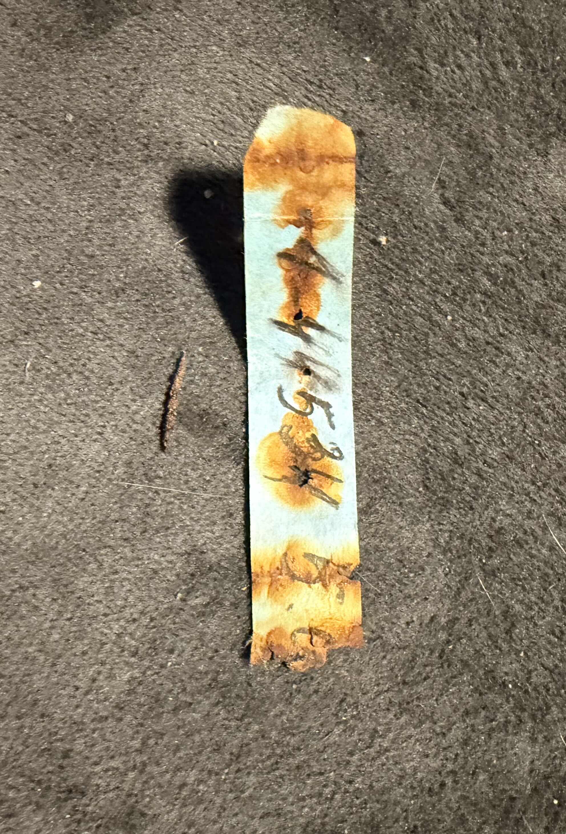 Появилось на полу после визита подруг. - IMG_7159.jpeg