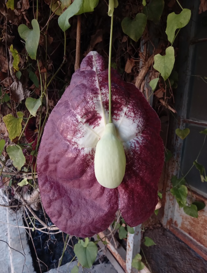 Блог mudder - Screenshot_20260227_171738_Gallery.jpg