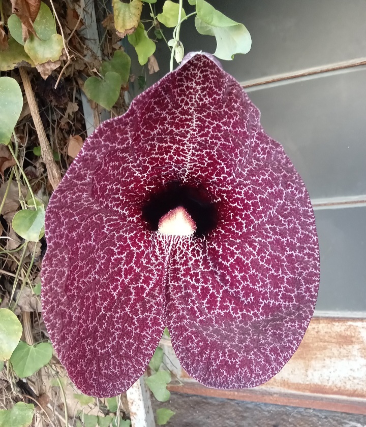 Блог mudder - Screenshot_20260227_173900_Gallery.jpg