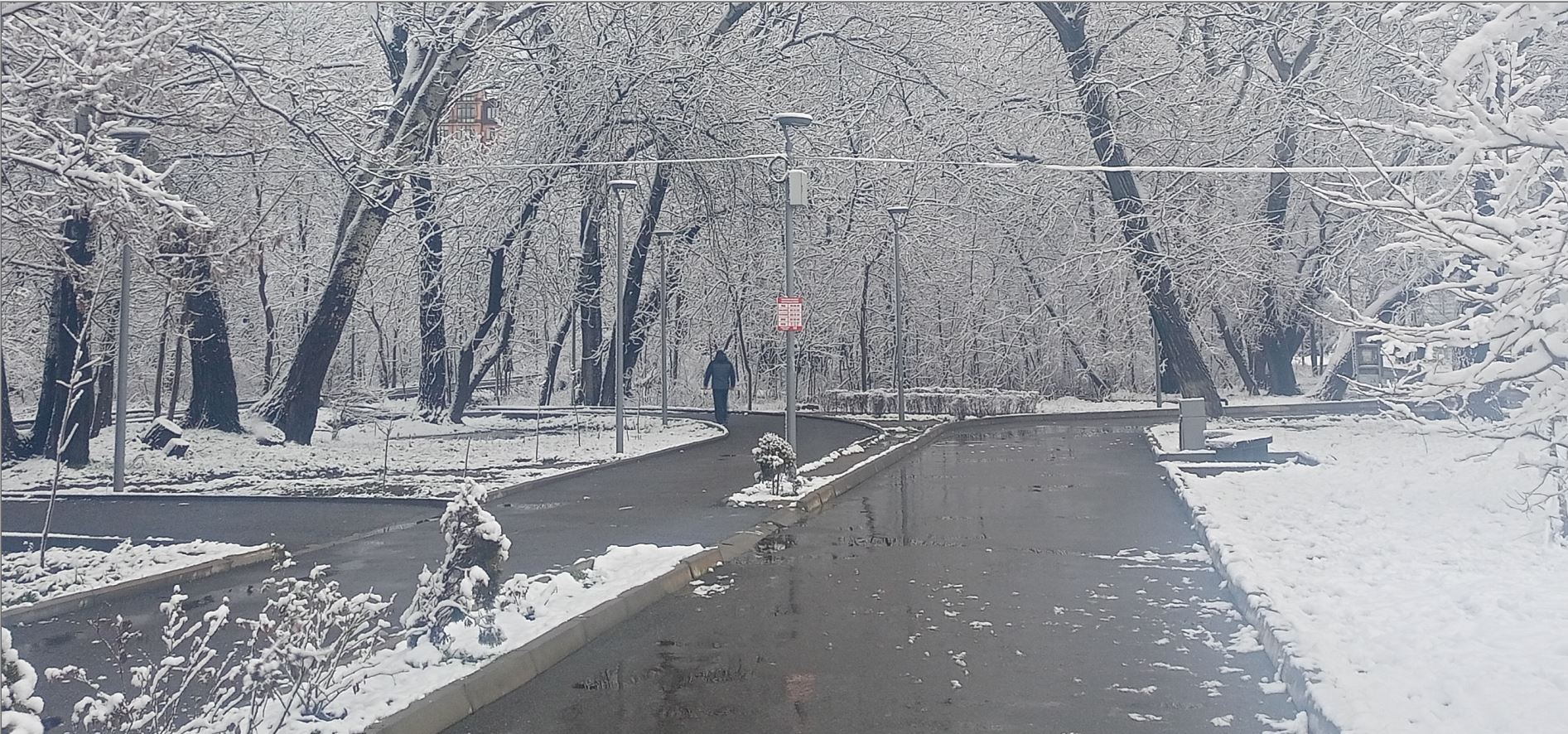 Заметки на пути от Mikle - дорога_к_дому.JPG