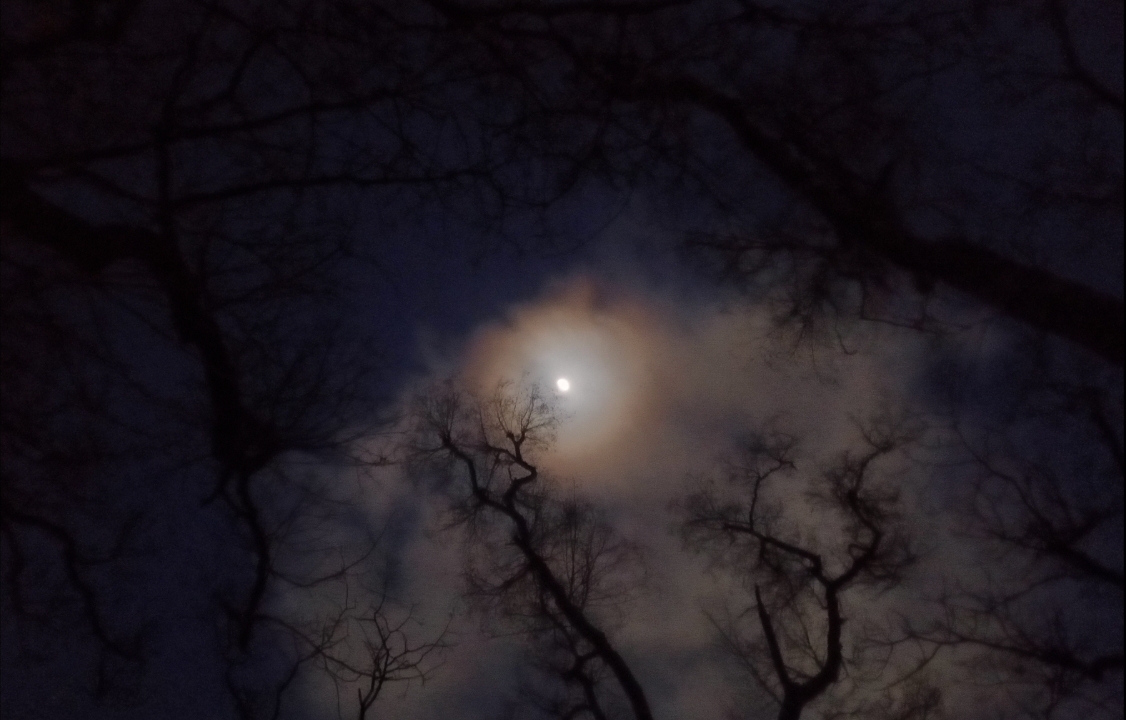 Мои заметки - IMG_20260302_011041.jpg