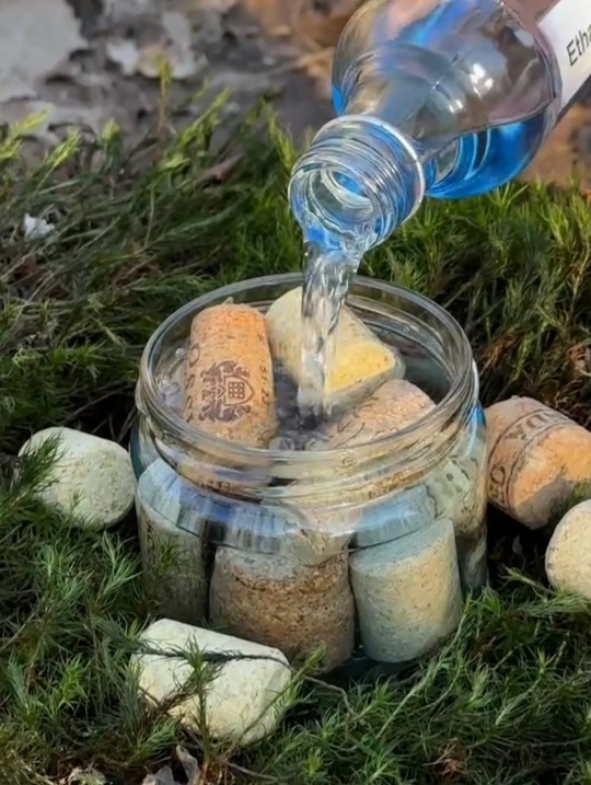 Блог mudder - Screenshot_20260304_134742_Chrome.jpg