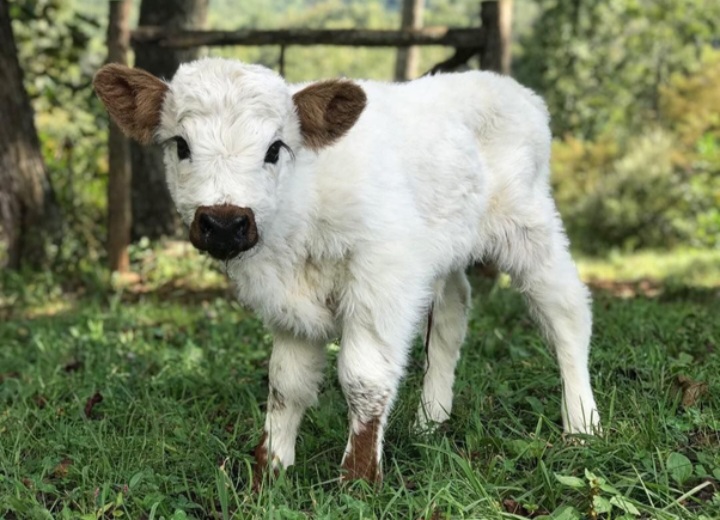 Блог mudder - Screenshot_20260325_224649_Chrome.jpg