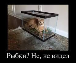 Скатерть Самобранка ТМ Попируем - images_43.jpeg