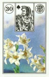 Галерея колод Ленорман - 932226746.jpg
