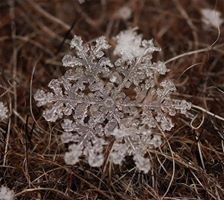 Шлем ужаса-агисхьяльмы - 11407131_834818606594699_5121673671829911212_n.jpg