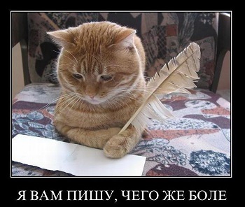 Творческий: Конкурс завершен: Проигравших и победивших нет - кот2.jpg