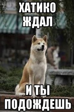 Происшествие..Подводим итоги:  - 2616_avatar_1.jpg