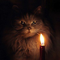 Происшествие..Подводим итоги:  - aDI_bzY0sQ4.jpg