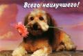  ПОШЛИ В КИНО ПОДВОДИМ ИТОГИ на 8 СТР  - 101765.jpg