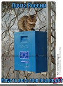  ПОШЛИ В КИНО ПОДВОДИМ ИТОГИ на 8 СТР  - 4vZGGSQNKYY.jpg