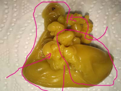 ОТЛИВКИ ВОСКОМ - DSC_2506.JPG